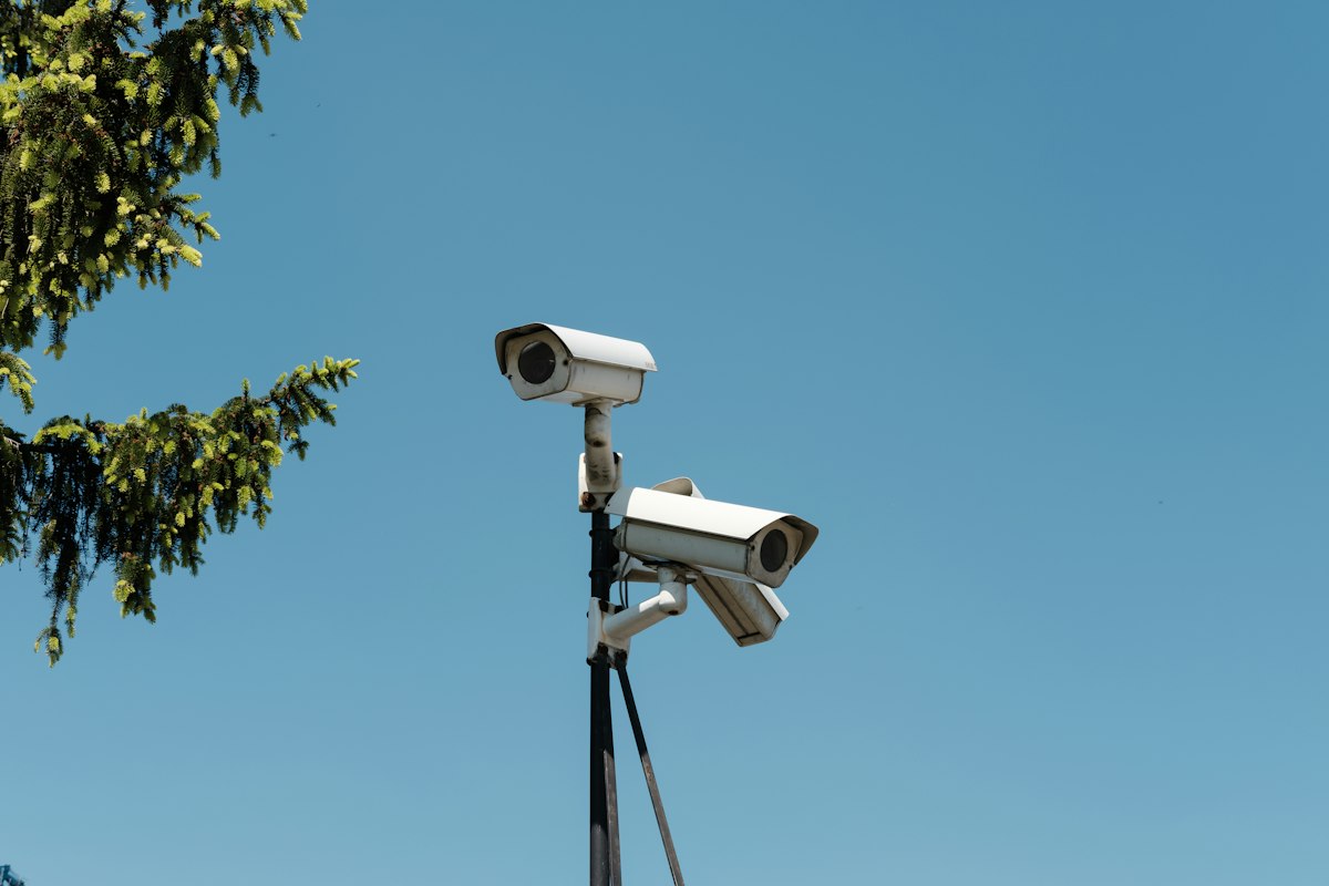 Cámaras de videovigilancia profesionales